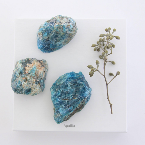 Raw Apatite Crystal