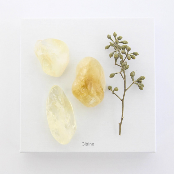 Energy Cleansing Bundles - With Assorted Crystals