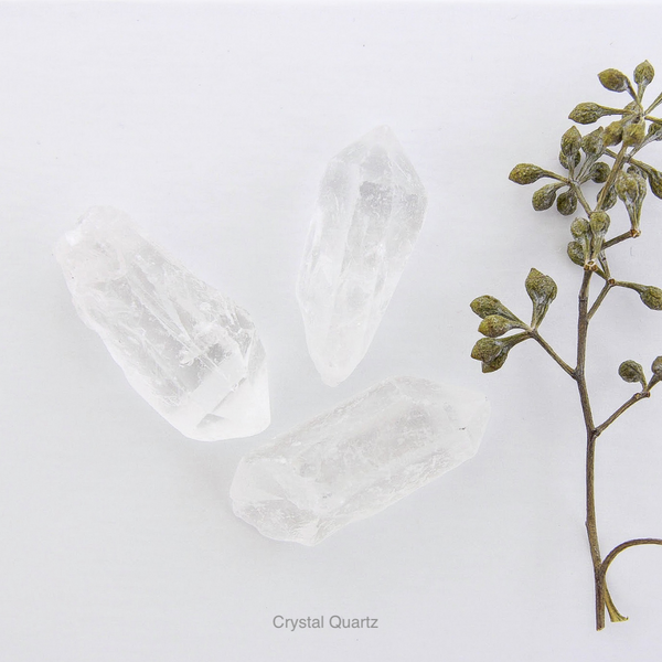 Energy Cleansing Bundles - With Assorted Crystals
