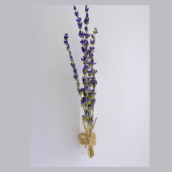 Selenite & Lavender Sticks