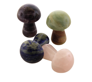 Gemstone Mushrooms - Assorted Gemstones