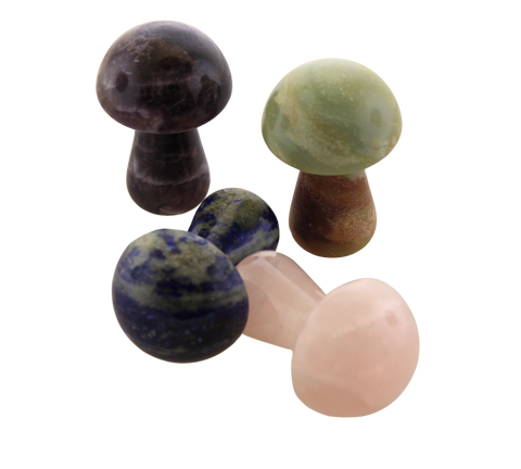 Gemstone Mushrooms - Assorted Gemstones