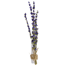 Selenite & Lavender Sticks