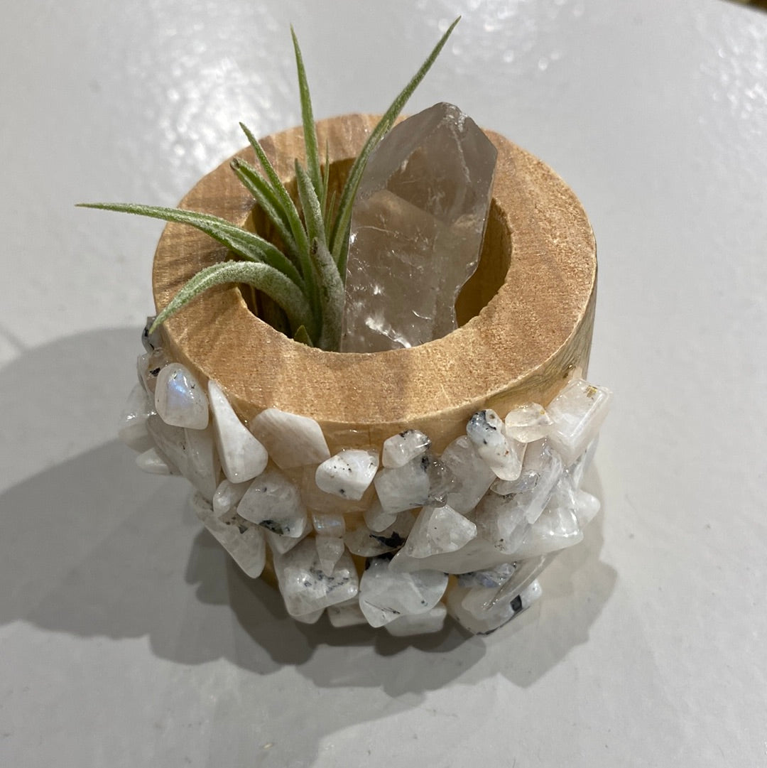 Moonstone planter with Air plant